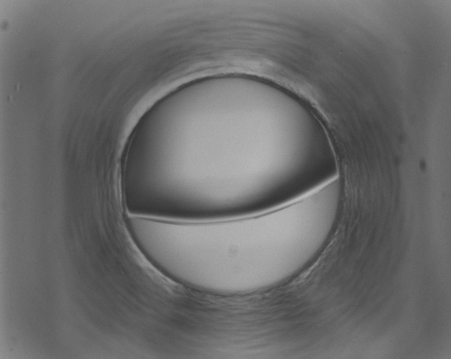 X0000074041516200608281432