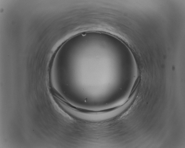 X0000074041518200608281432