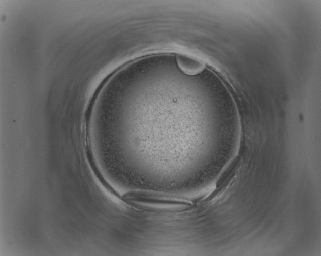 X0000074041519200608281432