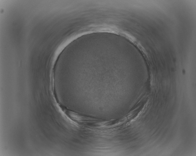 X0000074041520200608281432