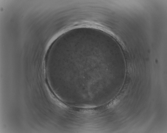 X0000074041522200608281432