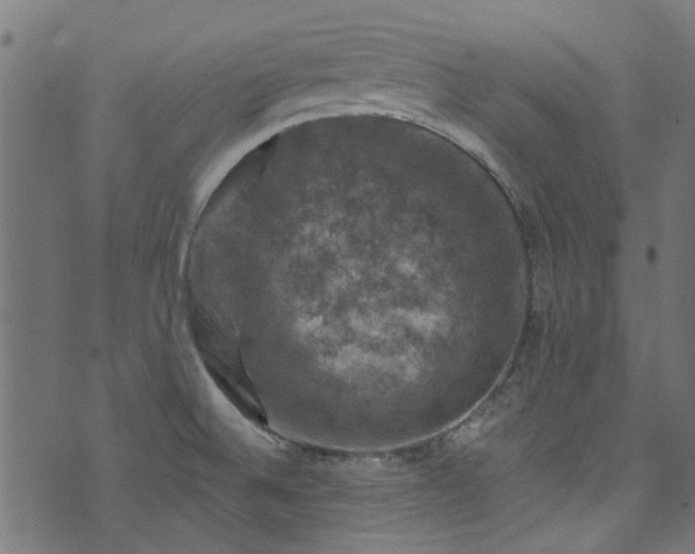 X0000074041524200608281432