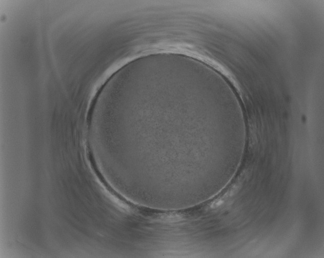 X0000074041525200608281432