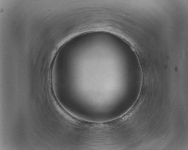 X0000074041526200608281432