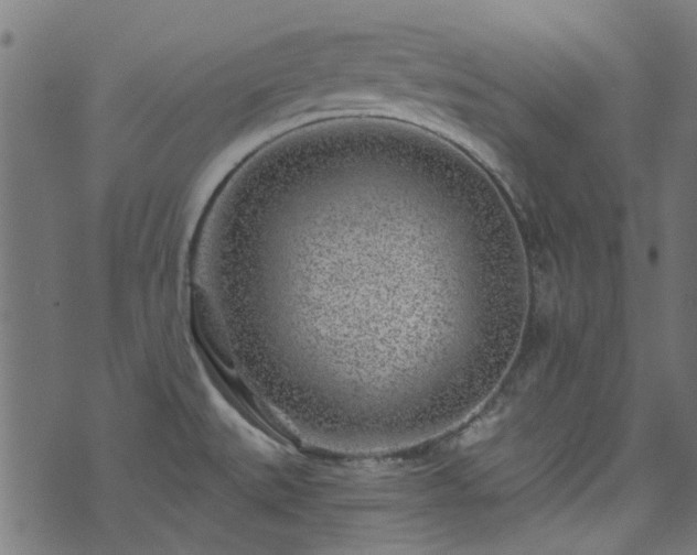 X0000074041527200608281432