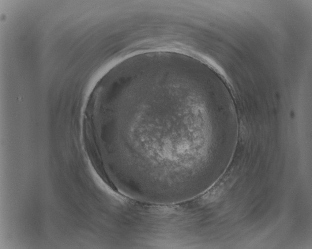 X0000074041528200608281432