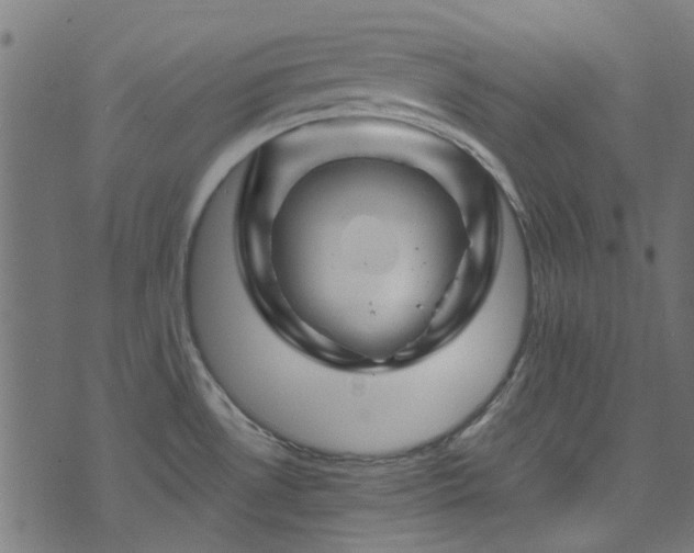 X0000074041530200608281432