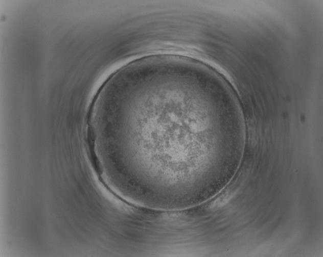 X0000074041531200608281432