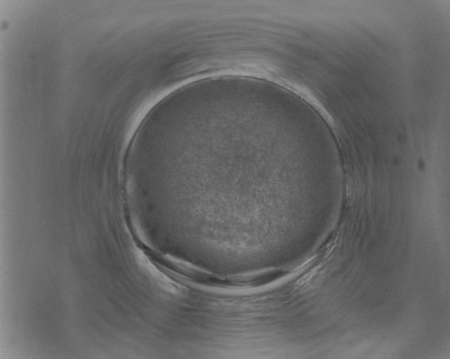 X0000074041532200608281432