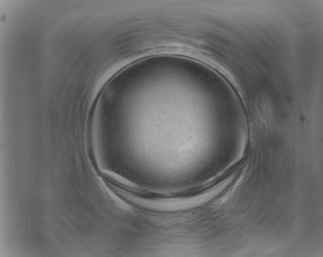 X0000074041533200608281432