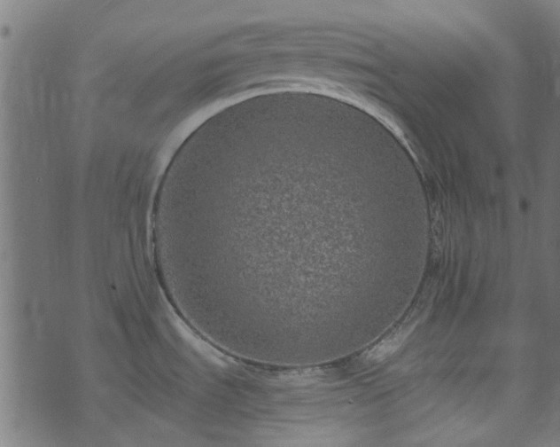 X0000074041535200608281432