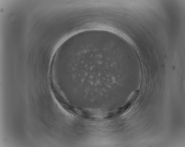 X0000074041536200608281432