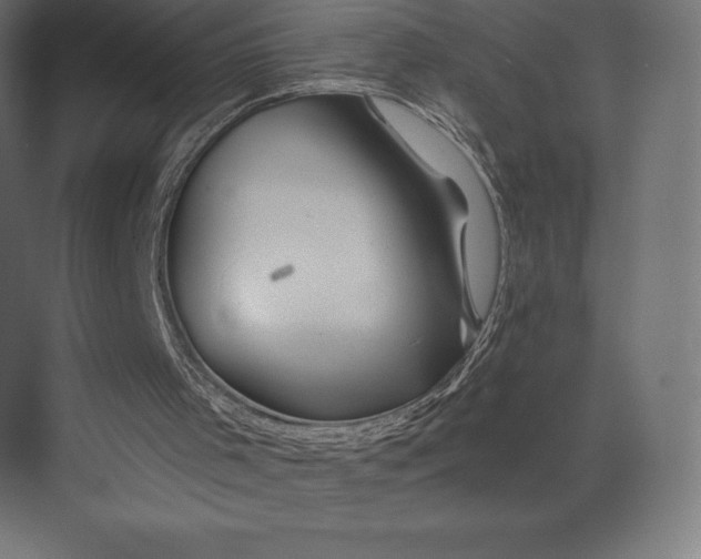 X0000074040001200609061220