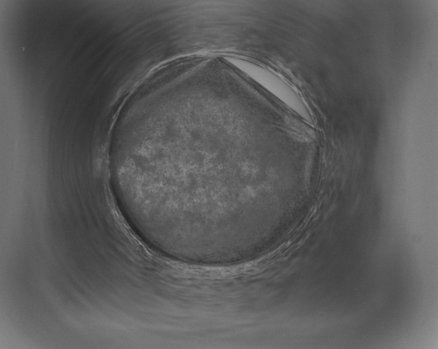 X0000074040002200609061220