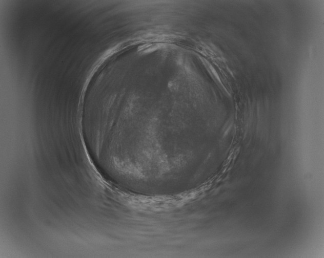 X0000074040003200609061220