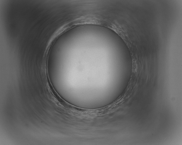 X0000074040004200609061220