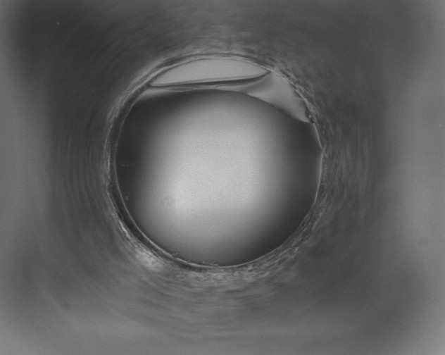 X0000074040005200609061220