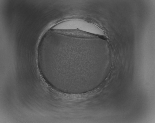 X0000074040006200609061219