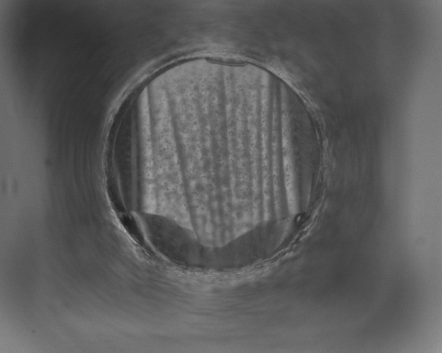 X0000074040007200609061219