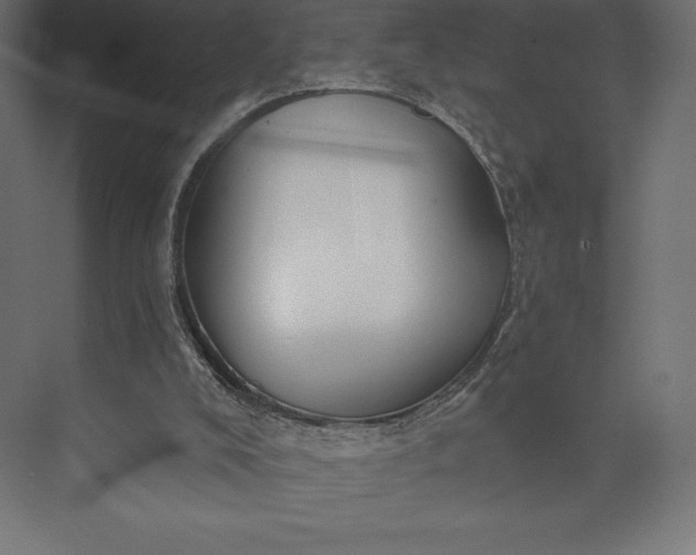 X0000074040008200609061219