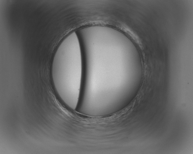 X0000074040009200609061219