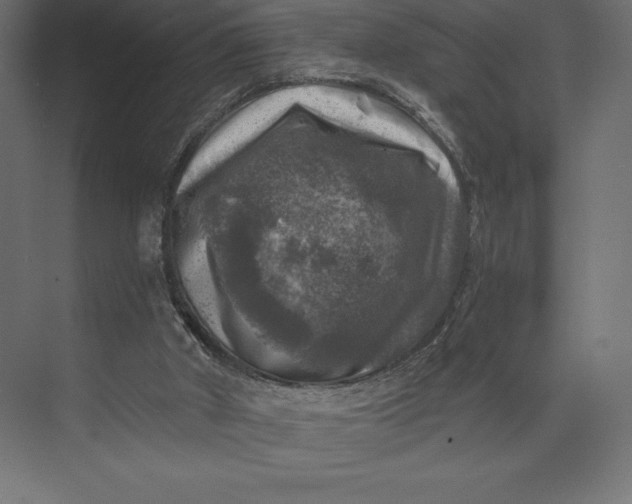 X0000074040010200609061219