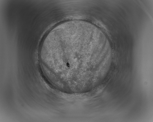 X0000074040012200609061219