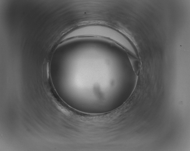 X0000074040013200609061219