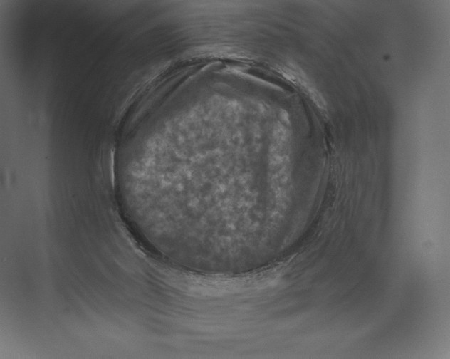 X0000074040014200609061219