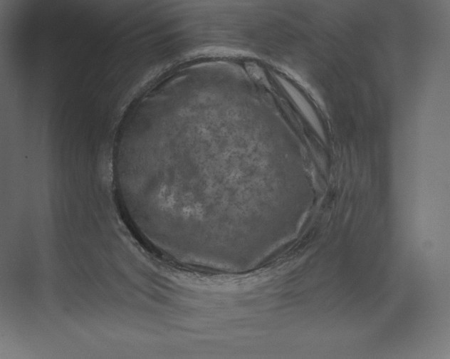 X0000074040015200609061219