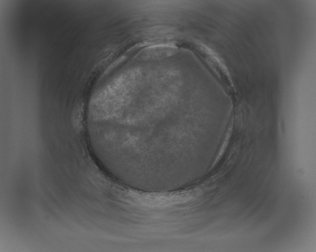 X0000074040018200609061219