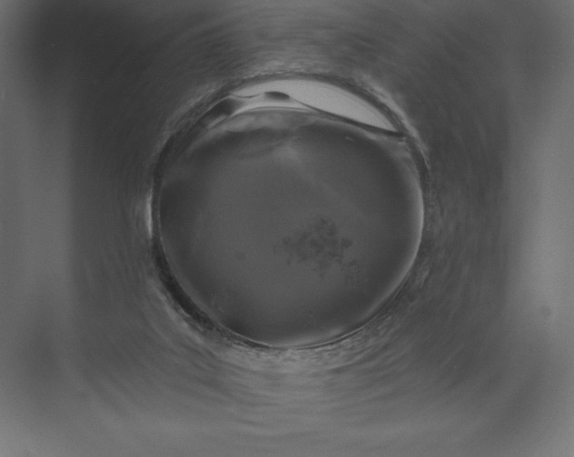 X0000074040019200609061219