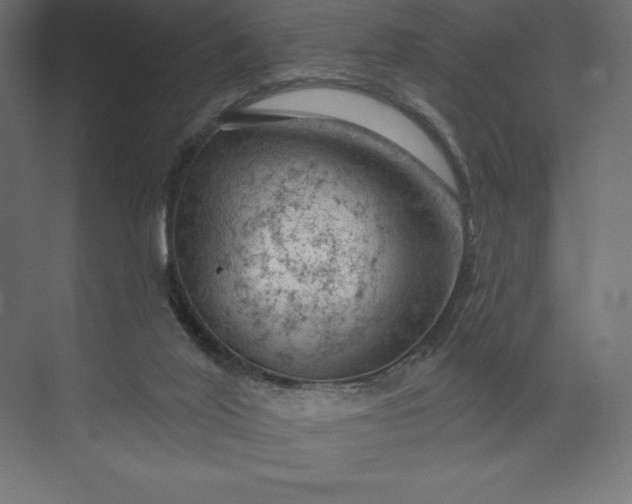 X0000074040020200609061219