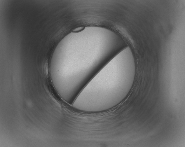 X0000074040021200609061219