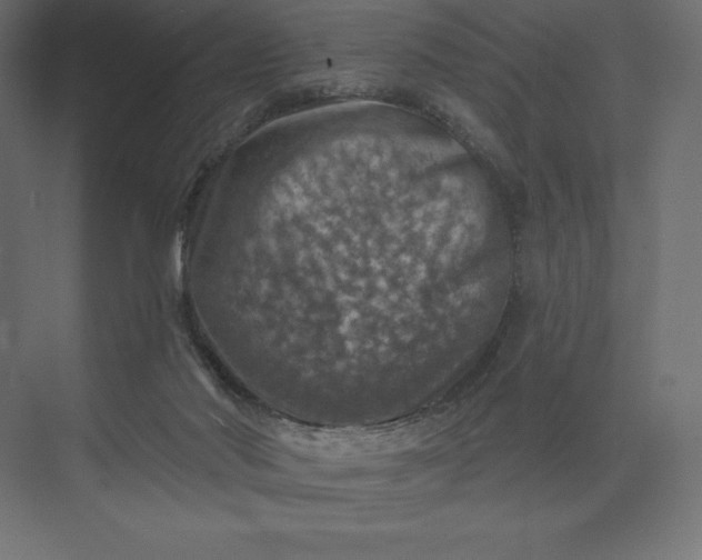 X0000074040022200609061219