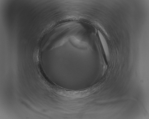 X0000074040023200609061219