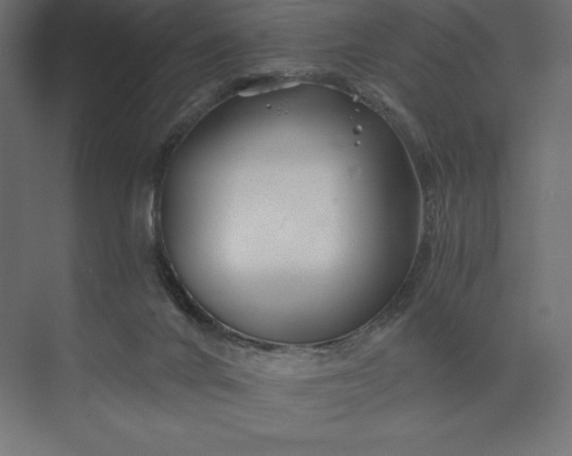 X0000074040024200609061219