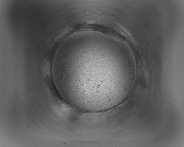 X0000074040025200609061219