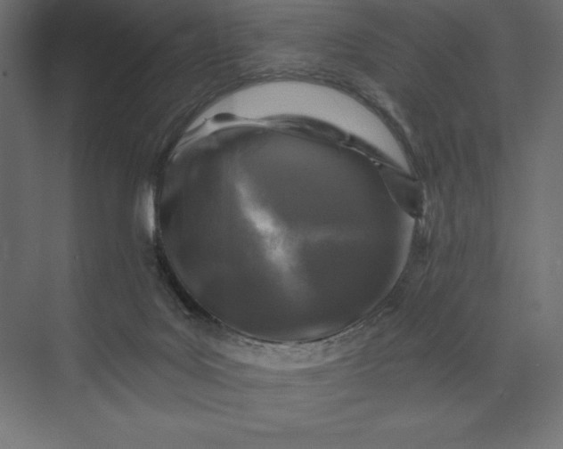 X0000074040027200609061219