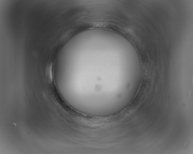 X0000074040028200609061219