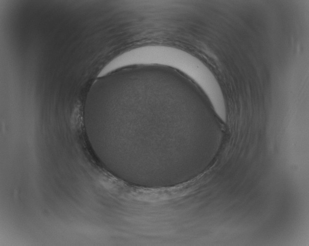 X0000074040029200609061219