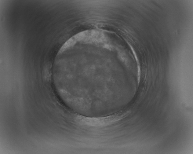 X0000074040030200609061219