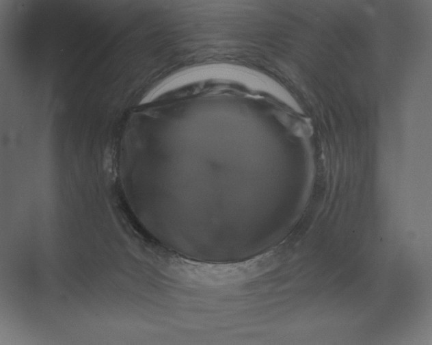 X0000074040031200609061219