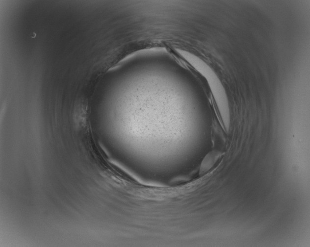 X0000074040033200609061219