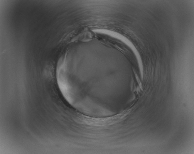 X0000074040035200609061219