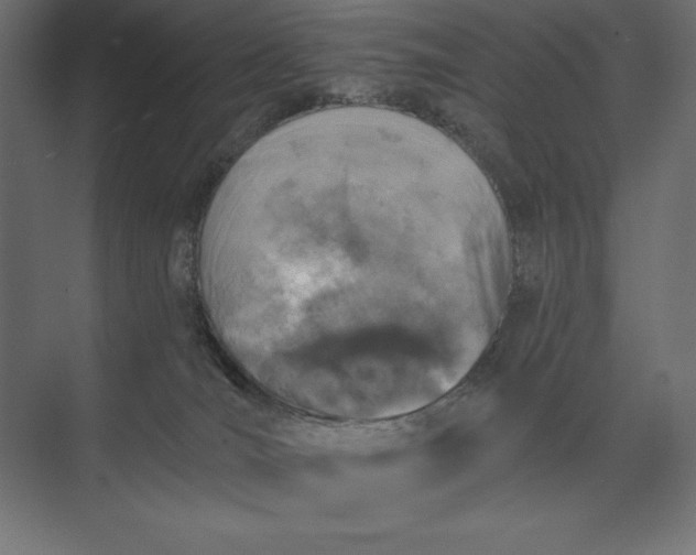 X0000074040036200609061219