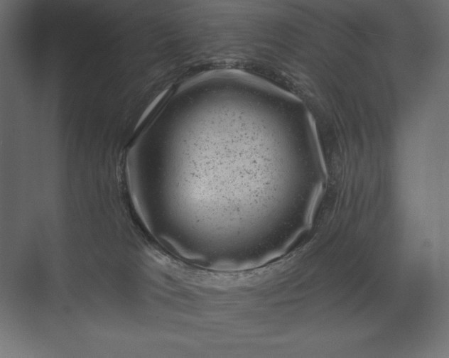 X0000074040037200609061219