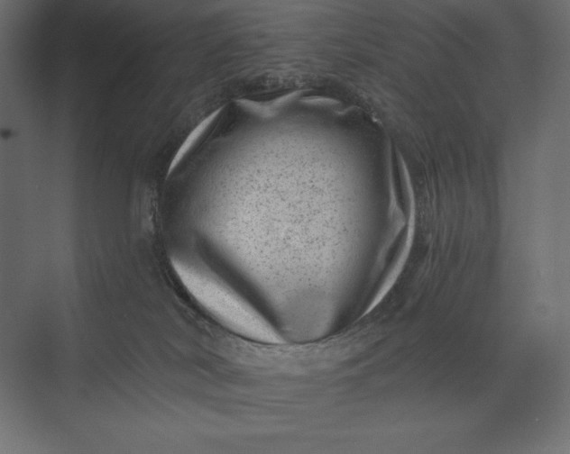 X0000074040038200609061219