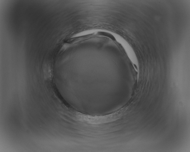 X0000074040039200609061219