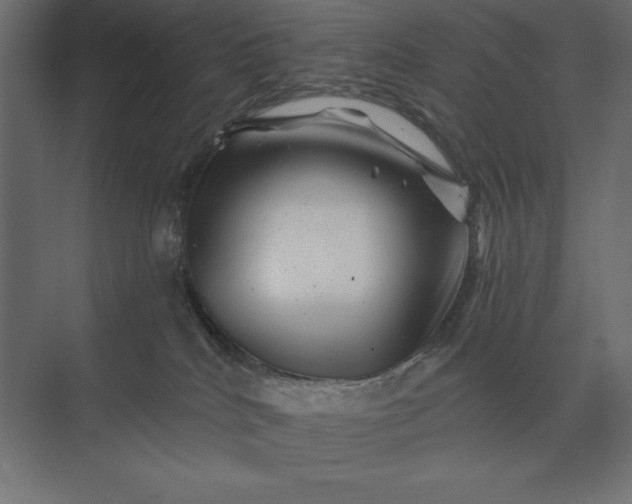 X0000074040040200609061219